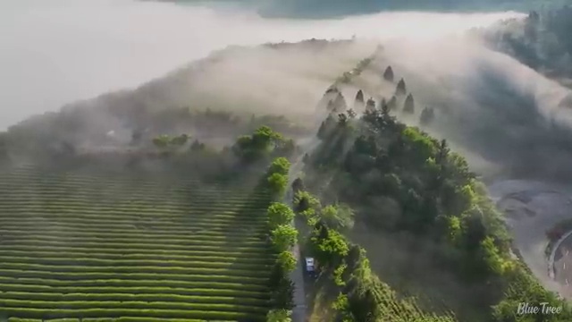  학점은행제 사이트 학점은행제 학위 관련학위 없어도 손쉽게 준비했던 노하우