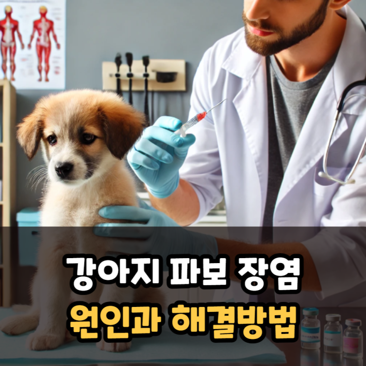  강아지 파보 장염 원인과 해결방법