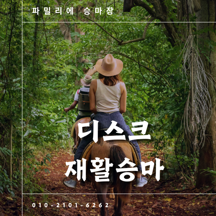  허리통증에 효과좋은 운동, 승마에 대해 알려드립니다.