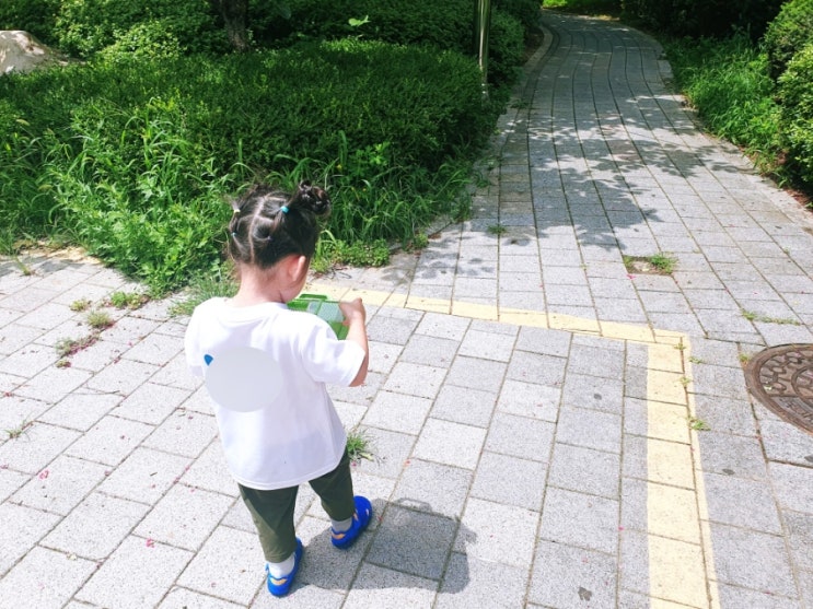  어린이집 방학맞이 매미잡기
