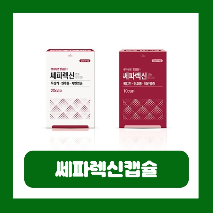  쎄파렉신캡슐 은교산 효과 부작용 요즘 코로나 증상 약국 가격