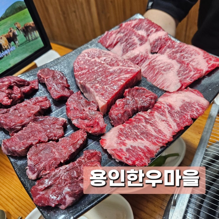  [용인 맛집]용인한우마을 용인자연휴양림근처 모현읍 처인구고기집 주차 메뉴 후기