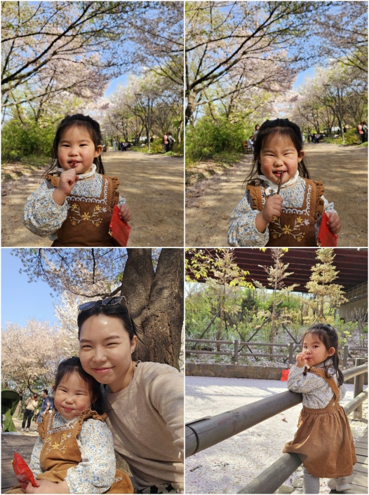  [30m4w] 서울숲 아기랑갈만한곳 / 다산킹찜질방 / 국립중앙도서관 도서관의날 / 결혼9주년 기념여행
