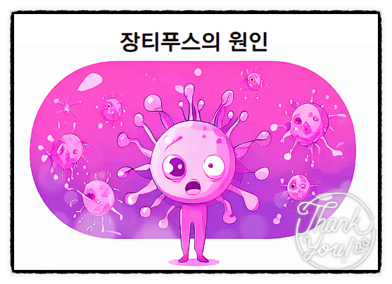  장티푸스에 대한 모든 것