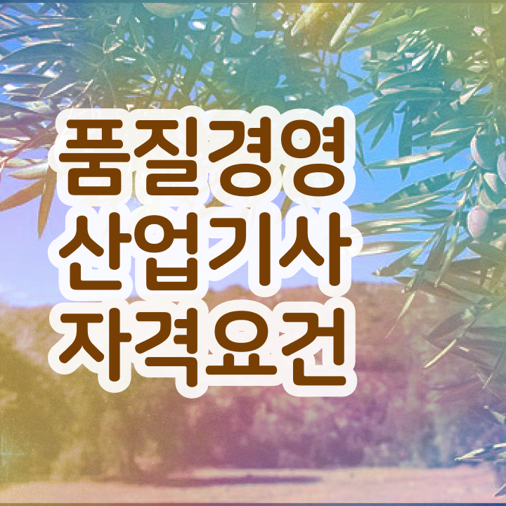  품질경영산업기사 실기 품질경영산업기사 시험자격 집에서 온라인으로 반 년만에 준비한 팁