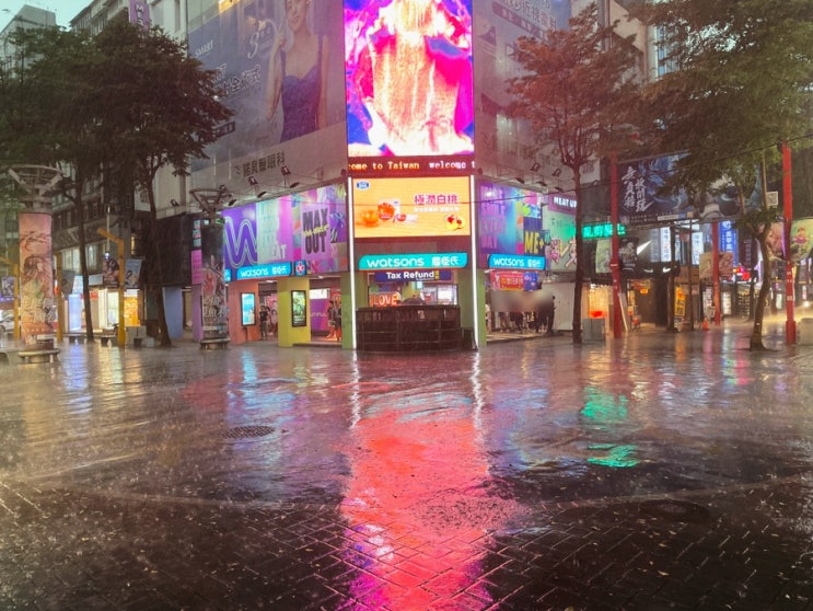  대만 3박 4일 자유여행 4일차 : 일갑자찬음 가품양주 시먼딩야시장 근래철판구이