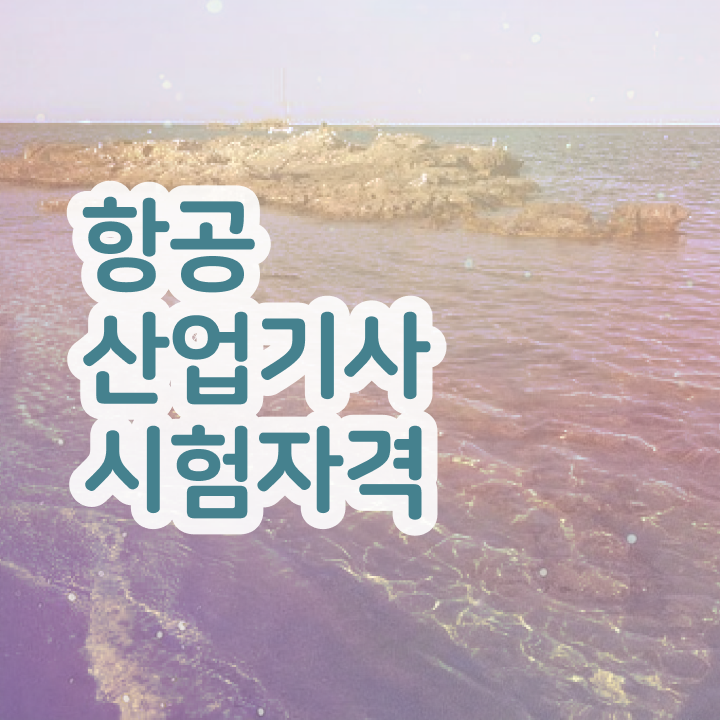  항공산업기사난이도 항공산업기사 시험자격 온라인 수업으로 4달 안에 성공한 후기