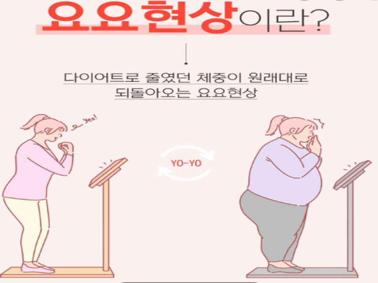 다이어트 요요 현상 예방하는 방법 [트렌드핏대연점/대연동PT/경성대PT]