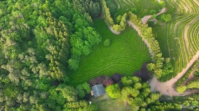  통신선로산업기사 취득자격 온라인 과정으로 쉽고 빠르게 완료한 후기