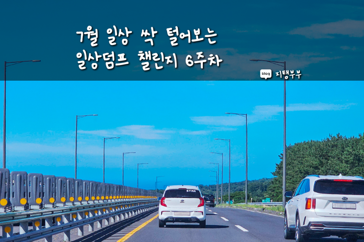  포토덤프 챌린지를 열심히 했는데도 미처 못 올린 일상 사진 털어보는 6주차