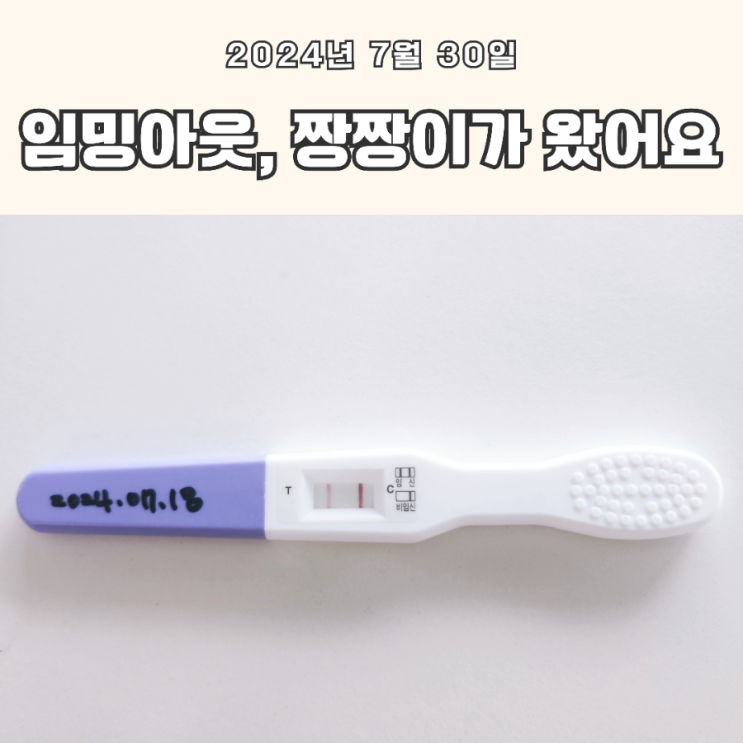  임신테스트기 두 줄 확인! 짱짱이를 맞이한 날