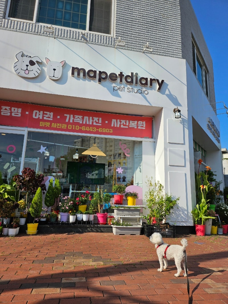 사진 3