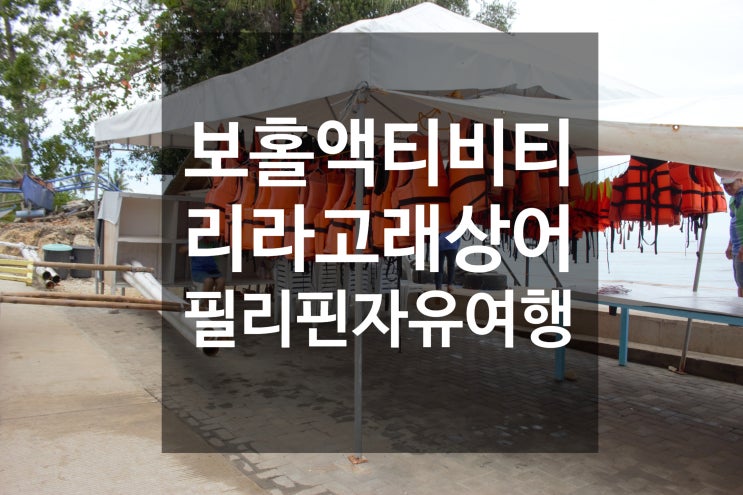  필리핀 보홀 자유여행 스노쿨링 액티비티 리라 고래상어 릴라