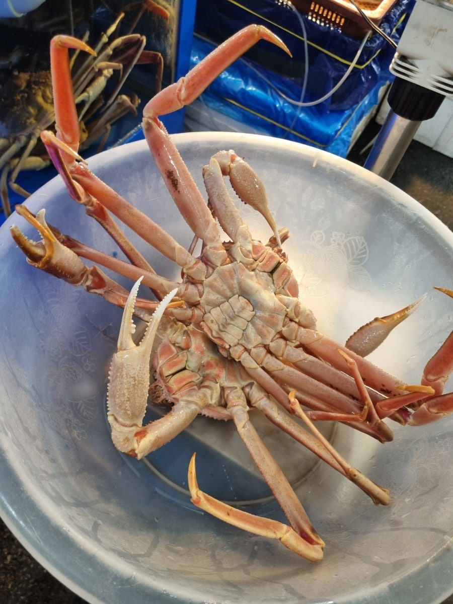 속초진수산 사진 6