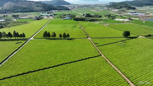  학점은행제 학위 , 일정을 꼼꼼하게 관리해주는 학점은행제 플래너 가 있습니다.