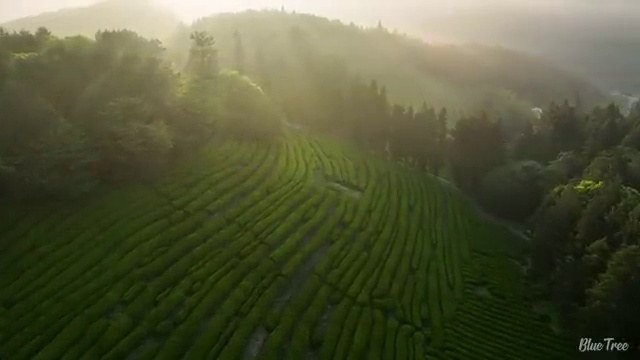  소음진동산업기사 자격요건 온라인 수업으로 15주 동안 준비한 과정