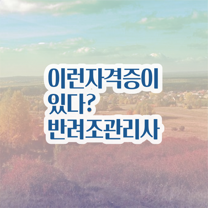  , 반려조관리사 자격증 비용없이 온라인으로 학습한 후기 정리해드립니다