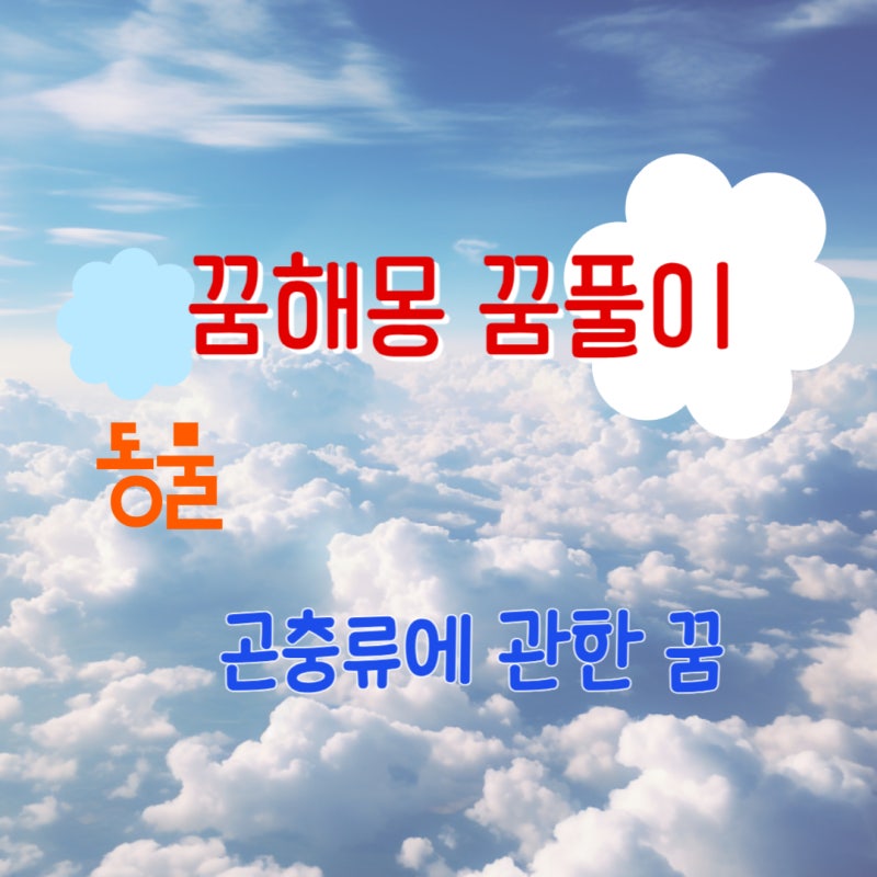 곤충류에 관한 꿈해몽 꿈풀이 모음
