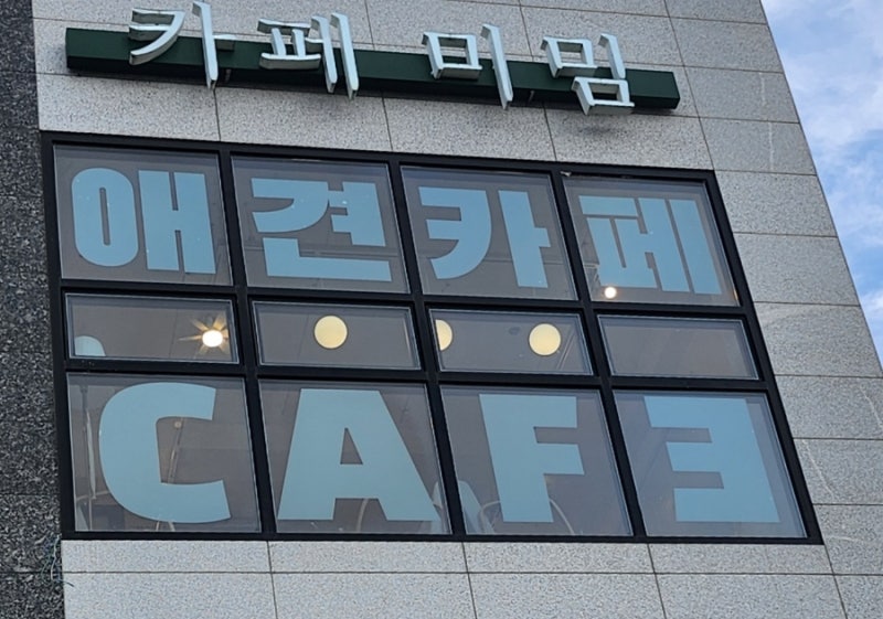 사진 7