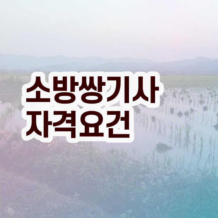  소방설비기사 특급 소방설비기사 시험응시자격 집에서 온라인으로 15주 동안 성공한 비법