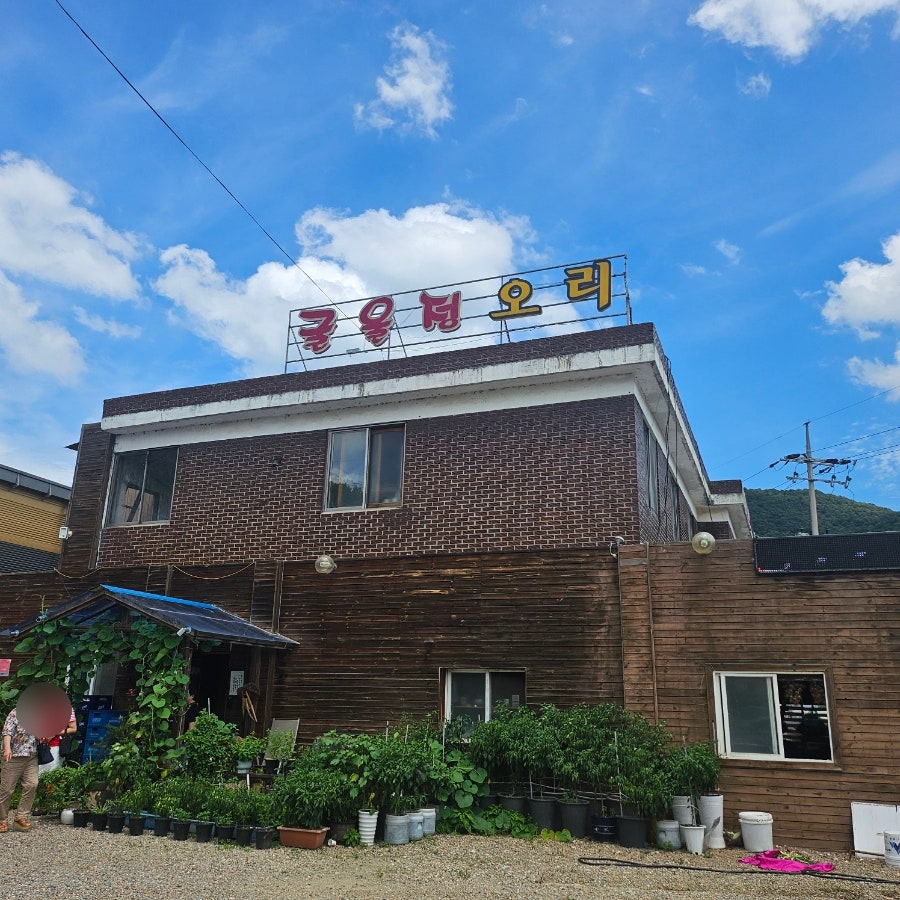 굴울정오리 사진 2