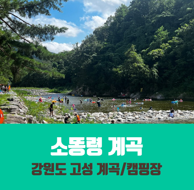  강원도 고성/ 소똥령계곡/장신유원지 캠핑장/비용