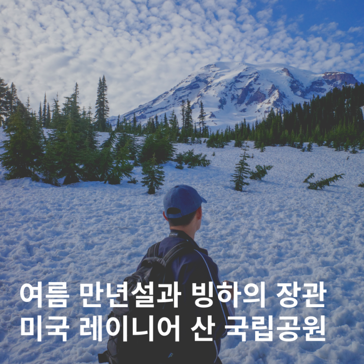  미국 시애틀 레이니어 산 국립공원 여행 예약 입장료 시간
