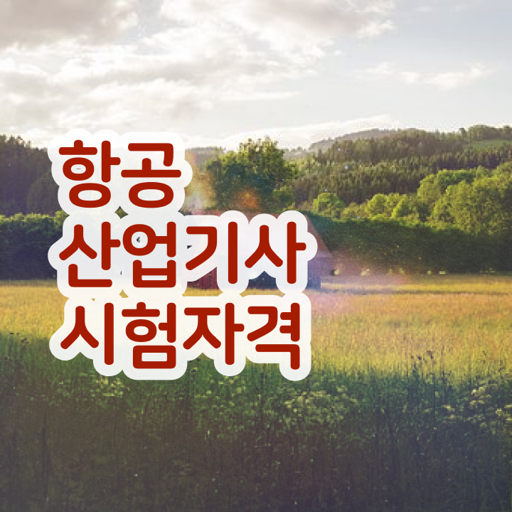  항공산업기사 필기시험 항공산업기사 자격요건 독학으로 단기간에 성공한 팁
