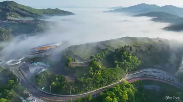  화훼장식산업기사 학점 화훼장식산업기사 시험자격 독학으로 15주만에 성공한 후기