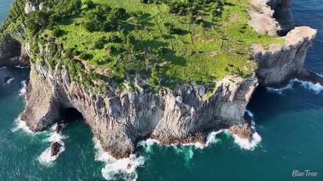  창원 사이버사회복지교육 . 사회복지사2급 직장인도 인강 듣고 빠르게
