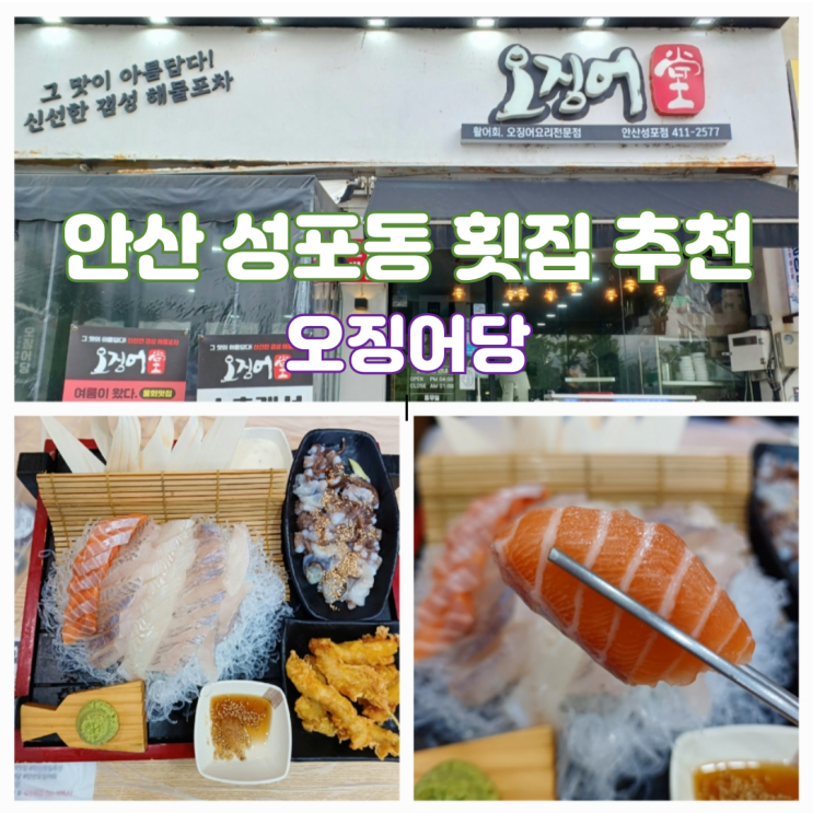 안산횟집 추천 안산 성포동 맛집 산낙지활어세트 오징어당 안산횟집 추천 안산 성포동 맛집 산낙지활어세트 오징어당