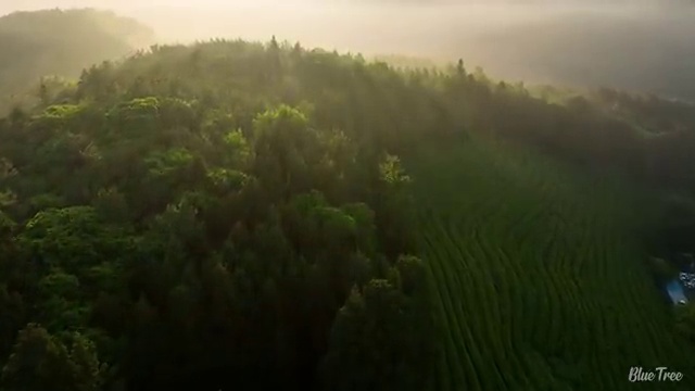  학점은행제 과 , 학점은행제 플래너 확인하세요 . 비용 절감 시간 단축 전략 알려드릴께요