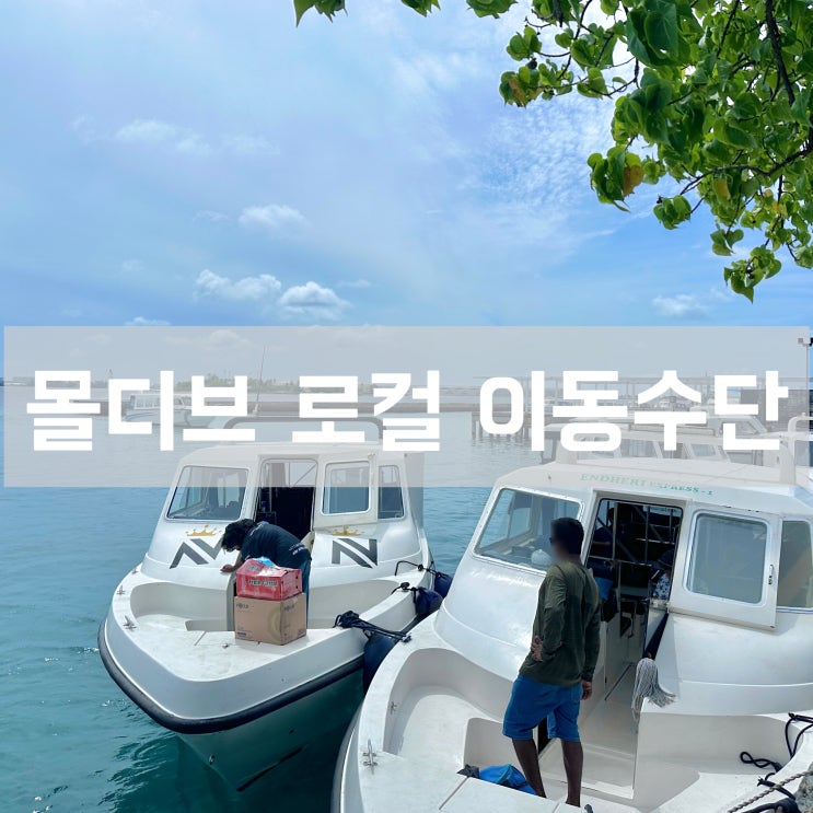  몰디브 자유여행 디구라 로컬섬 - 환전 꿀팁 공항 택시 스피드 보트 이용 시간 가격 후기