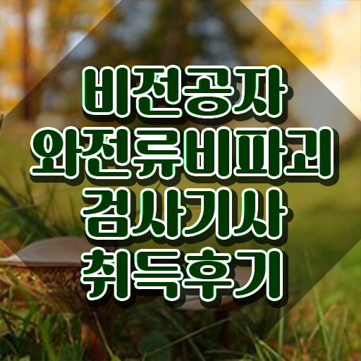  와전류비파괴검사기사 취득자격 집에서 온라인으로 15주 동안 완료한 비법