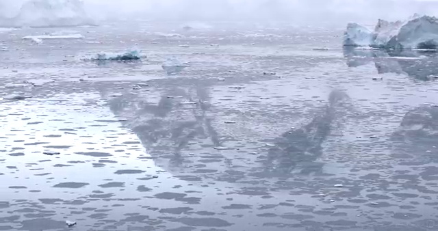  미용사국가자격증 , 1년도 안걸려서 미용사 종합자격증 땄던 팁 알려드릴께요