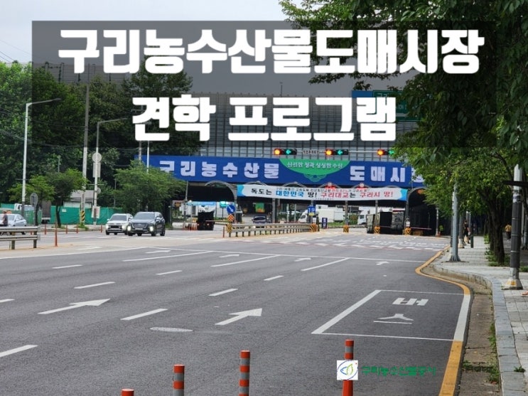  동구릉역 아이와 가볼만한곳 구리농수산물도매시장 견학 프로그램