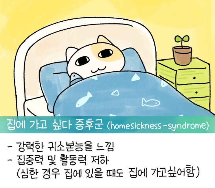  뒤죽박죽 일상
