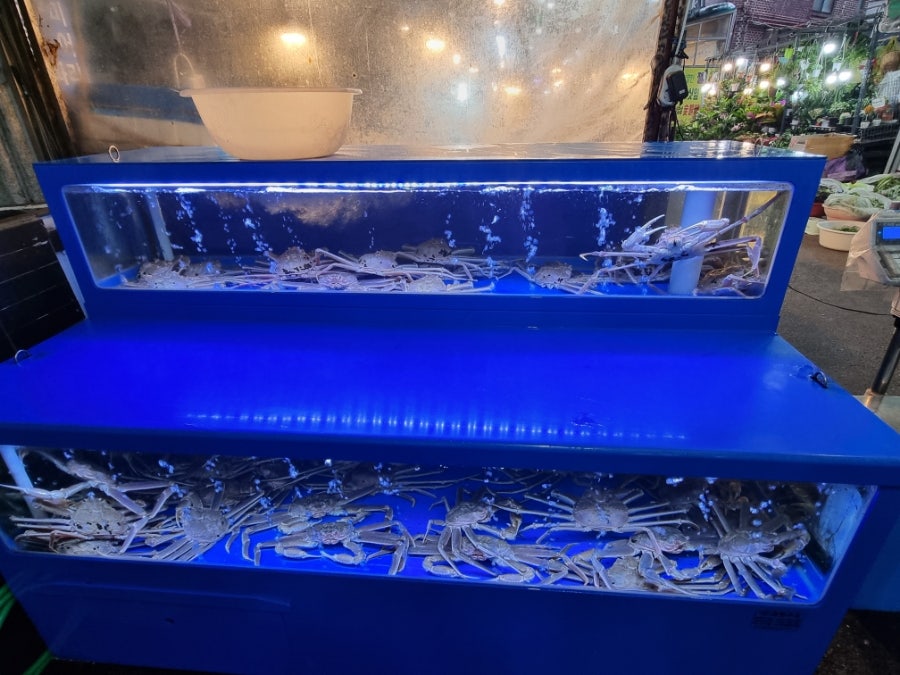 속초진수산 사진 4