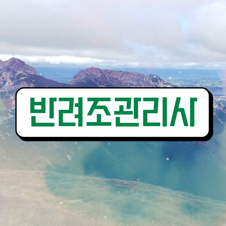  금강앵무분양 , 반려조관리사 자격증 한달 만에 합격한 전략 및 향후 전망