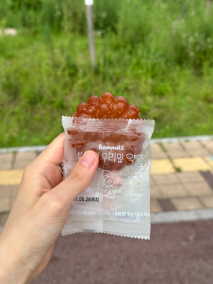  여수언니 봄날엔 약과 내돈내산 후기
