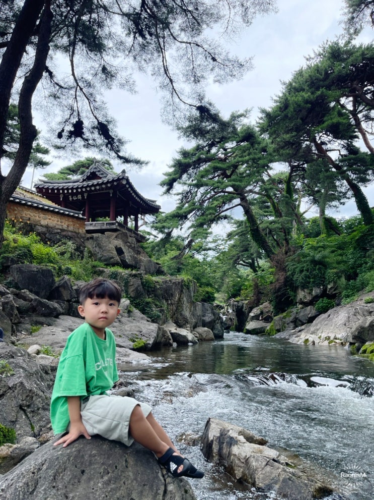  영주 계곡 금선정 아무도 가지 마세요