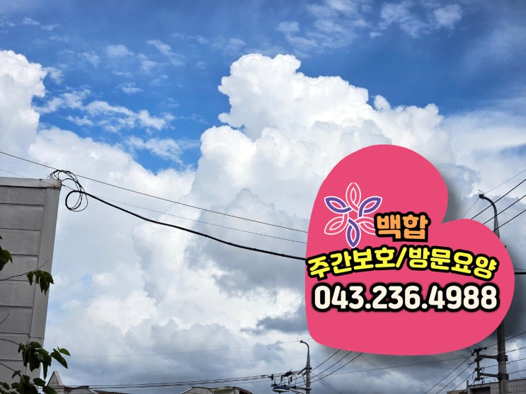  청주주간보호센터 복대동주간보호센터 어르신들과 함께한 여름 레크리에이션 프로그램