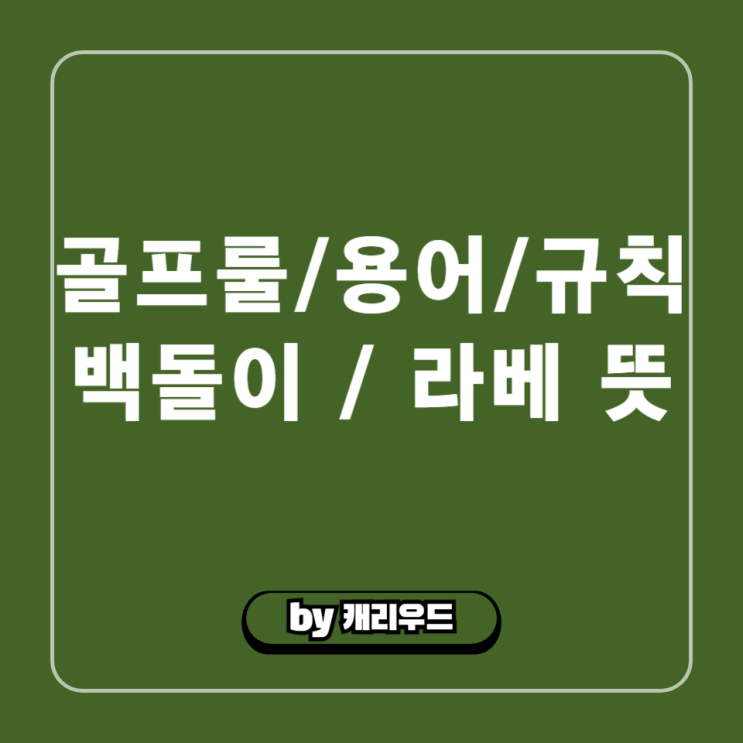  골프용어 경기룰 규칙 : 백돌이 라베 뜻