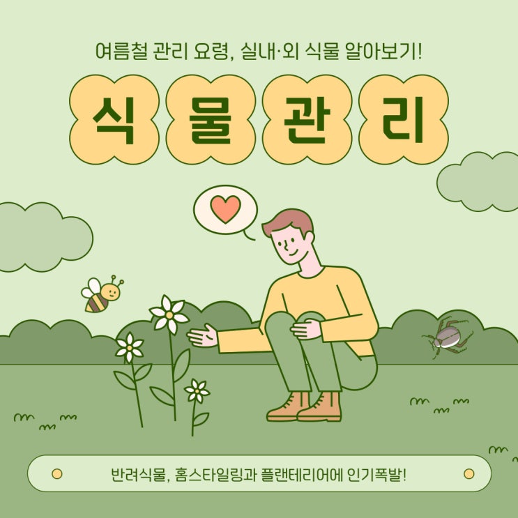  여름철 식물관리 요령, 실내, 실외 식물 알아보기