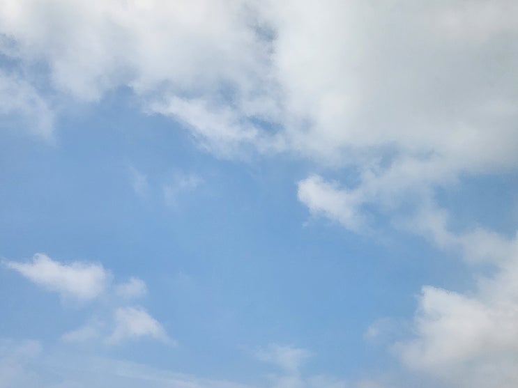 펜싱 최종 4위(<b>여자 사브르 동메달</b> 결정전),올림픽 펜싱