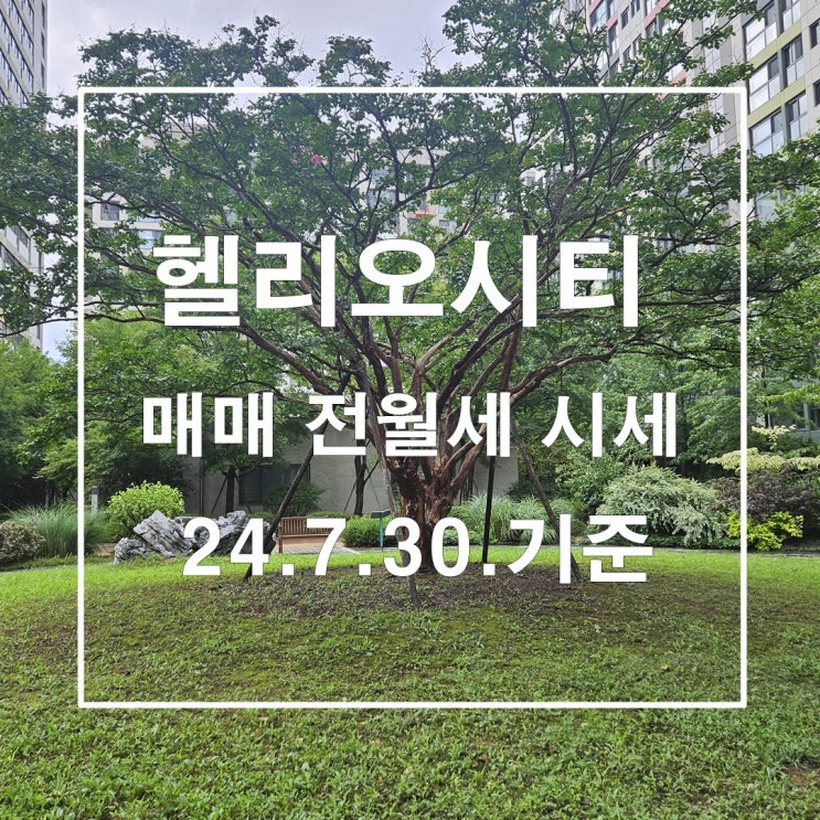  뜨거워진 헬리오시티 24년7월30일 기준 매매 전월세 시세 및 실거래가