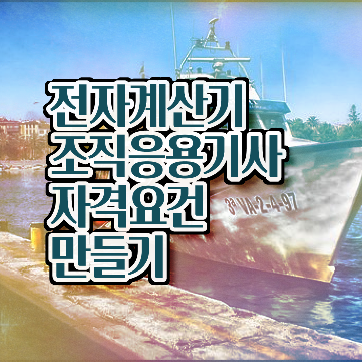  전자계산기조직응용기사 접수 전자계산기조직응용기사 시험응시자격 독학으로 반 년만에 준비한 과정