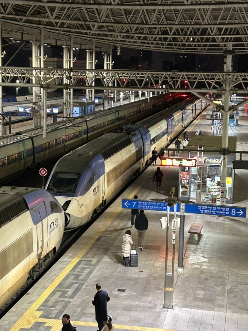 서울에서 부산가는 기차 “KTX 내일로 예매” 내일로 KTX 3일권 좌석지정 장단점 꿀팁 : 네이버 블로그