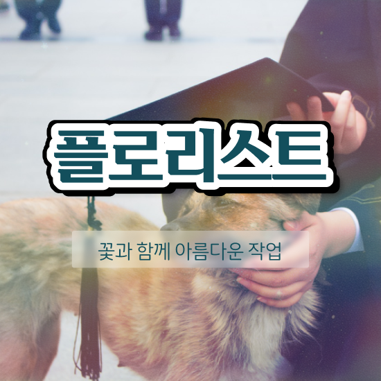  꽃꽂이 오아시스 , 플로리스트 자격증 1달 만에 합격한 후기 , 취업정보
