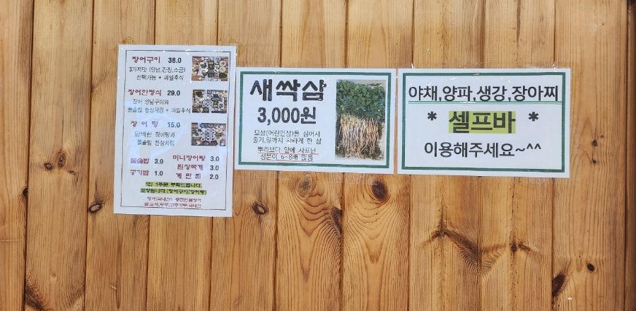 갑을장어 사진 5